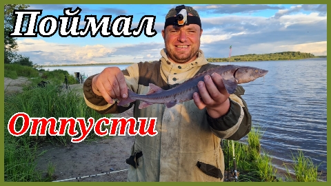 Рыбалка на Донки на реке Обь. Поймал отпусти. Хмао-югра..mp4