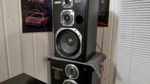 Yamaha ns 30x