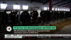 68 начинающих фермеров Башкортостана получили гранты на ₽211 млн