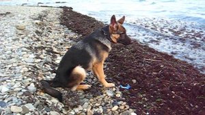 Морееее....так вот ты какое