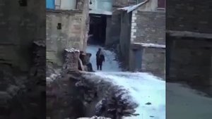 Шалазай Гаджиева