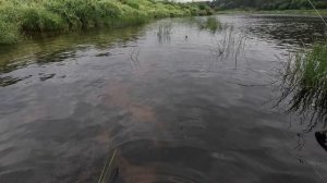 В поисках щуки, рыбалка в Тверской области