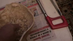 Выращивание лагенарии на семена.