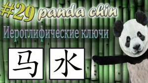 Урок 29. Ключи китайских иероглифов: 马 (лошадь) и 水 (вода)
