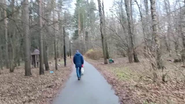 Лесопарк 4-го микрорайона готовится к зиме! Зеленоград. смотреть онлайн