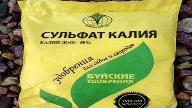 СДЕЛАЙТЕ это с МАЛИНОЙ после ПЛОДОНОШЕНИЯ!