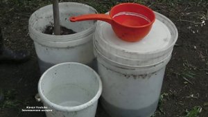 ВТОРАЯ ВЕСЕННЯЯ  ПОДКОРМКА  КЛУБНИКИ ЧЕМ ПОДКОРМИТЬ КЛУБНИКУ ВТОРОЙ РАЗ