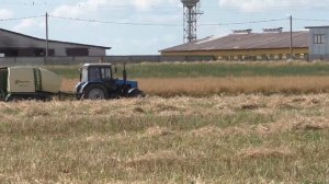 тюкование рапсовой соломы. 2020