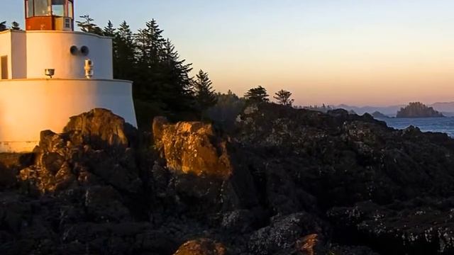 agz zoo VC AH E E EE EK FG,F смотреть онлайн