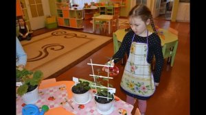 Разные виды труда в детском саду