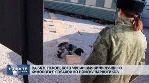 На базе псковского УФСИН выявили лучшего кинолога с собакой Новости Псков 04.04.2019