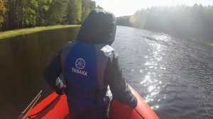 Ривьера 3600 + Tohatsu 9 8