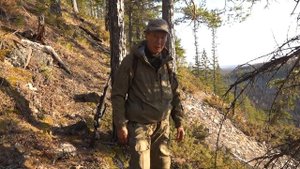 За изюбрем на реву