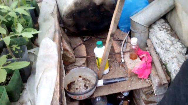 ОГУРЦЫ СВ 4097 ,СМОТРЕТЬ ВСЕМ № 3 смотреть онлайн