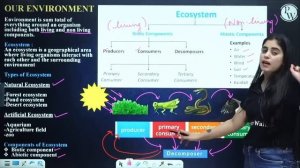 OUR ENVIRONMENT in 30 Minutes || Mind Map Series for Class 10th