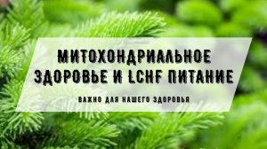 Митохондриальное здоровье Тарасевич