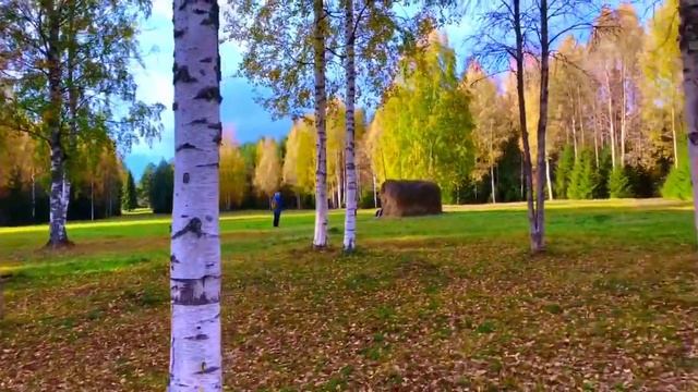 Экскурсия в Архангельский музей деревянного зодчества и народного искусства «Малые Карелы».