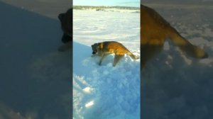 Навигатор для рыбалки