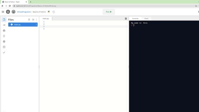 Python Programing Basics