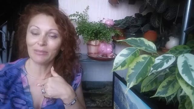 120. Техника исполнения желания или техника "Стакан воды" по методу Сильва.
