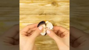 Как сделать магнит своими руками.