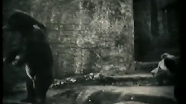 Tierpflege Im Zoologischen Garten // Уход за животными в зоопарке смотреть онлайн