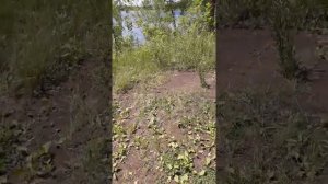 САМАРСКАЯ ОБЛАСТЬ Г. КИНЕЛЬ ПГТ АЛЕКСЕЕВКА 1. КАРЬЕР ПЛЯЖ ОТДЫХА ??