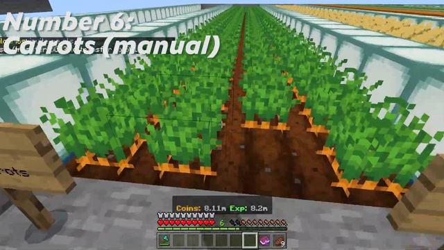 Top 10 Farms on Skyblock | Minecraft Bedrock | Lifeboat Network смотреть онлайн