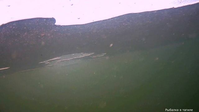 В поиске КАРАСЯ !!! Приехал в Салду на разведку , рыбалка 2023 смотреть онлайн