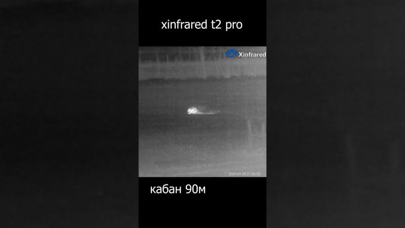 xinfrared t2pro, охота на кабана