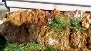 Подложка для цветов из отработанных грибных блоков