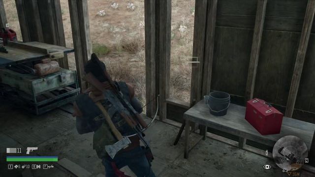 Days Gone 5