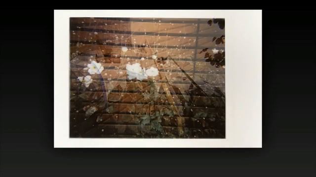 2016 Instax mini roundup смотреть онлайн