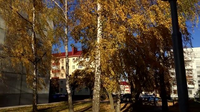 Осенний Щучин. Работа мультипликационной студии. Центр творчества. 2019