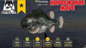 ТРОФ ПИНАГОР НА 34 БАНКЕ НОРВЕЖСКОЕ МОРЕ В РУССКОЙ РЫБАЛКЕ 4 РР4