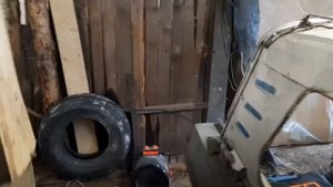 Сарепта видео для подписчика