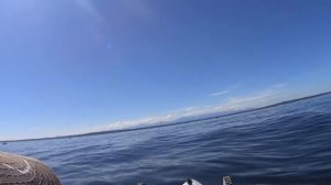 Рыболовный Каяк Мой Самый Первый Выход в Море (Kayak Fishing First Out Inshore)