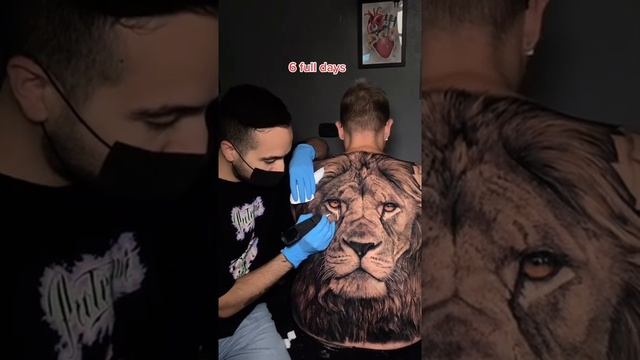 Amazing Lion Tattoo On Back