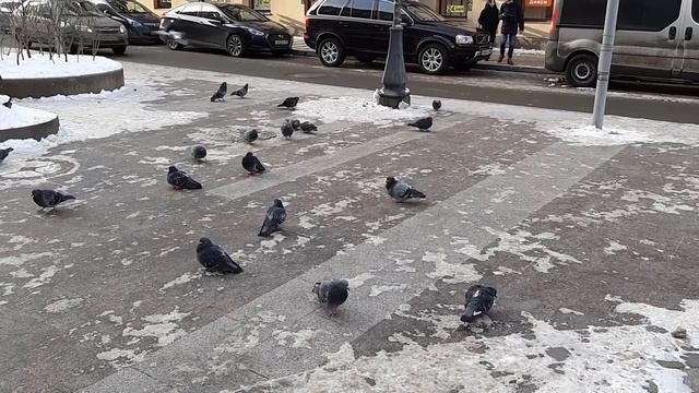 Samsung A8 и A8+ обзор от Фотосклад.ру смотреть онлайн