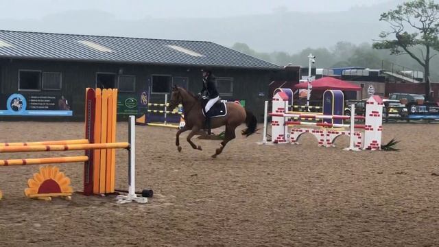 Java double clear 5 year olds смотреть онлайн