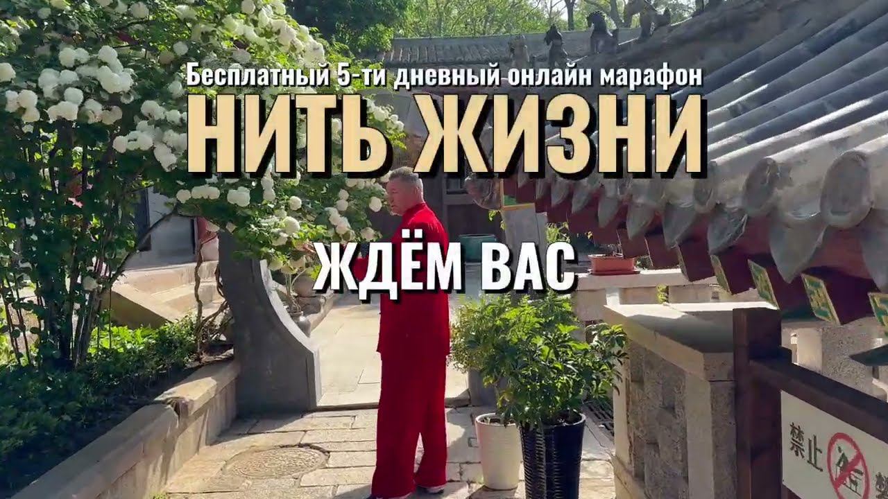 Нить Жизни Анонс #восточнаямедицина #цигун #нитьжизни #тайцзи #тайцзиюань #здоровье