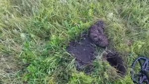 #30 Поиск металла и монет. Металла было мало.