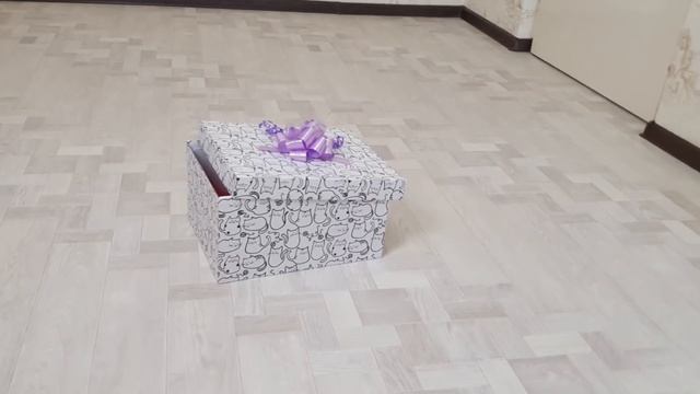 Купили котенка британская золотая шиншилла Влог Сюрприз для детей