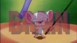 Pinky and the Brain Russian Intro (Пинки и Брейн)