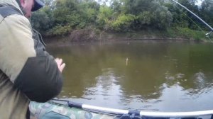 Ловля щуки,судака и окуня осенью,на воблер и силикон.река Ока