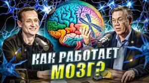 Вячеслав Дубынин: тренировка памяти, витамины и БАДы, влияние соцсетей на работу мозга