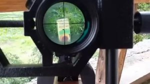 Kral Puncher Maxi 5.5 mm Pcp 50 Meter