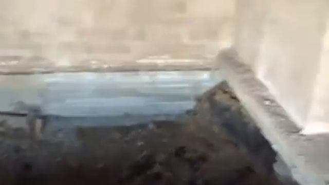 Баня смотреть онлайн