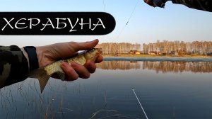 Ещё ЛЁД не сошёл, а ХЕРАБУНА уже ловит!