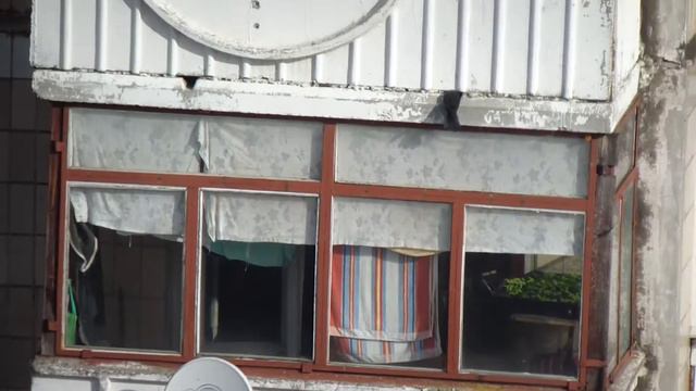 Утро весны. Галки осваивают балконы многоэтажек. смотреть онлайн